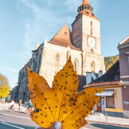 Chic * Braşov